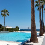 the amazing pool