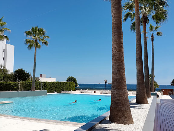 the amazing pool